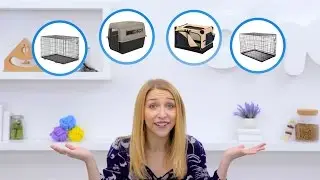 The Best Dog Crates: 4 Dog Crate Types We Love | Chewy
