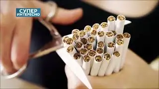 Как ДЕЛАЮТ СИГАРЕТЫ? Из чего? Состав сигарет, табака. Вся правда!