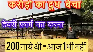 Hf cow dairy farm closed | Dairy farming in India | India Farming management |