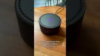 Алиса хочет на свидание 😅 приколы с Яндекс Станцией Алиса , купить можно у нас Electronics Latvia