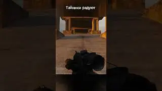 ✨Тайники на Затоне продолжают радовать ⭐Сталкер Anomaly H.A.Z.E: Reloaded 