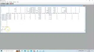 IS5213-3 One Hot Encoding Using R