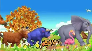 green screen animals video horse racing