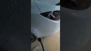 Керамика с АлиЭкспресс Dpro T