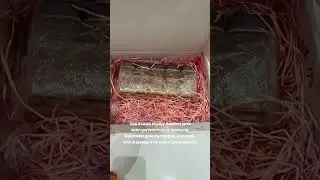 Ставь ➕ в комментариях, если всегда знаешь, что делать с такими «ошибками» доставки 😀