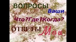 LumaFusion 2.0 Урок 1.2 Ответы на вопросы