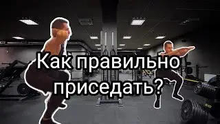 Как правильно приседать с собственным весом?