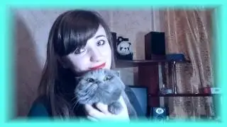 ЧЕМ ЖЕ ВСЕ ТАКИ КОРМИТЬ ШОТЛАНДСКИХ ВИСЛОУХИХ?!