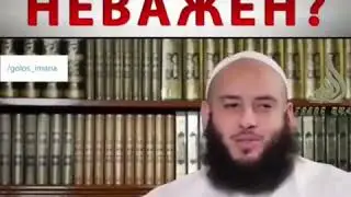 Шейх Умар Аль Банна тест для нас спортзал