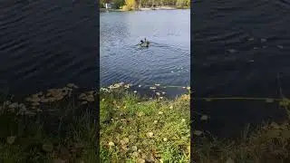 Сладкая парочка 😍