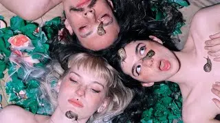 A VOID - Stepping On Snails (Official Video)