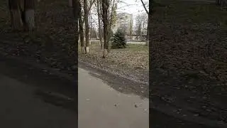 29 ноября 2023 г.