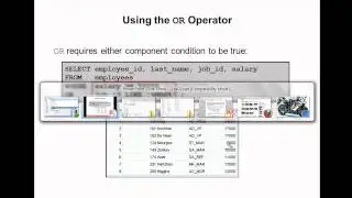 Oracle SQL Video Tutorial 12  : Logical conditions AND ,OR ,NOT IN operators