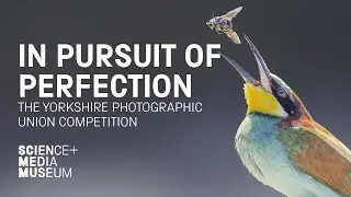 Exhibition Trailer | In Pursuit of Perfection: The Yorkshire Photographic Union Competition