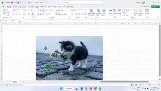 How to Adjust Image inside Excel Cell