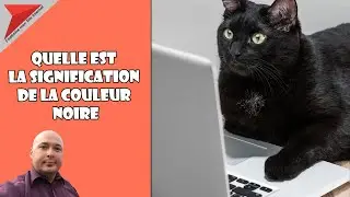 Quelle est la signification de la couleur noire