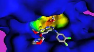Drug Resistance
