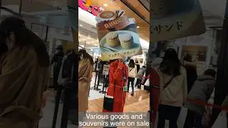 New Year's Eve Rush at Shinagawa Station: Last-Minute Shopping Frenzy!