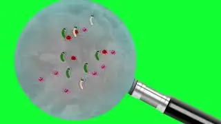 Virus - Bacteria magnify lances 