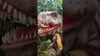 Dinosaur 🦖