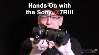 Hands On with the Sony a7RIII (& 24-105 f/4 G)