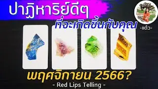 Pick A Card : ปาฏิหาริย์ดีๆที่จะเกิดขึ้นกับคุณ ในเดือนพฤศจิกายน 2566?