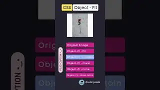 CSS Object Fit