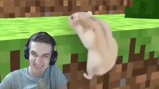 Эвелон смотрит: UNUSUAL MEMES COMPILATION V58