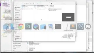 How to add image files to Apple watch app project in xcode