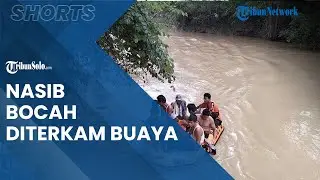 Nasib Nahas Bocah 9 Tahun Diterkam Buaya, Ditemukan Masih di Mulut Buaya