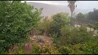 וכשיורד גשם...