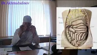 Оперативные вмешательства на органах брюшной полости. Часть 1. Проф. Ахмадудинов М.Г.