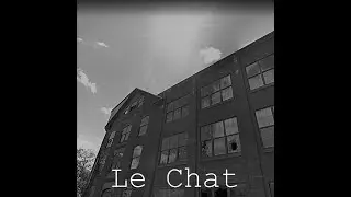Br1k$ - Le Chat (lyrical video)
