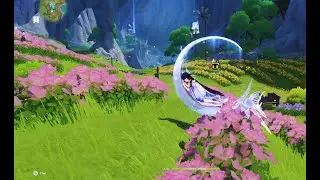 Exploring scenic beauty of genshin impact