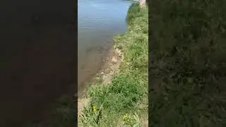 рыбалка 9 мая дгк на бетонке  х Лебеди Краснодарский край