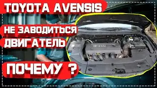 Двигатель не заводится Toyota Avensis 1zz-feВ ЧЁМ ПРИЧИНА?