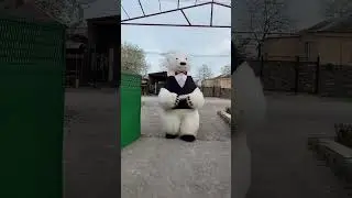 Умка спешит с подарком #мишка #умка #мишкаумка #мишканаденьрождения  #umkarostov  #праздник