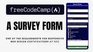Building a Survey Form from Scratch | FreeCodeCamp Projects | HTML and CSS