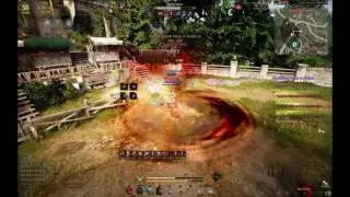 BDO Warrior 1V1s in the Morn