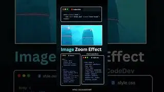 Image Zoom Hover Effect using HTML & CSS 