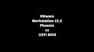 VMware Workstation 15.5 BIOS
