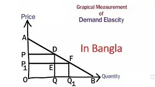 Explaination of Graphical Measurement of Demand Elasticity with defination || Ecinomics in Bangla