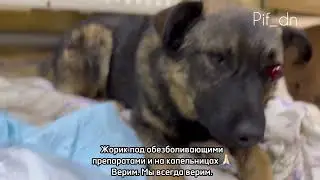 СБИЛИ И УЕХАЛИ  😭 НУ СКОЛЬКО ЖЕ МОЖНО?!