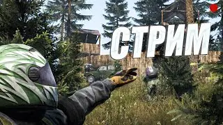Завтра Др а пока сыграем в кс , потом мб в дейз 