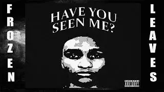 ✢Zach Rabbit - HAVE YOU SEEN ME?✢