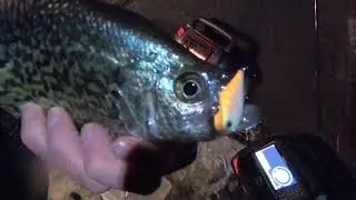 Using Rippin' Raps for early ice walleyes & crappies.