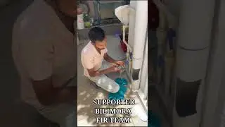 Cat rescued...trapped pvc pipe #bilimora #gausevasansthan #wwfn #cat #dogshorts #catshorts