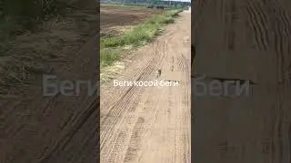 Моёхозяйство #automobile