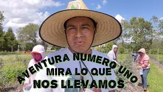 VISITANDO A LOS PISCADORES DE ARÁNDANOS EN OTRA ÁREA DE FLORIDA 🫐🍊🍓🫑