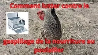 Comment lutter contre le gaspillage de nourriture au poulailler